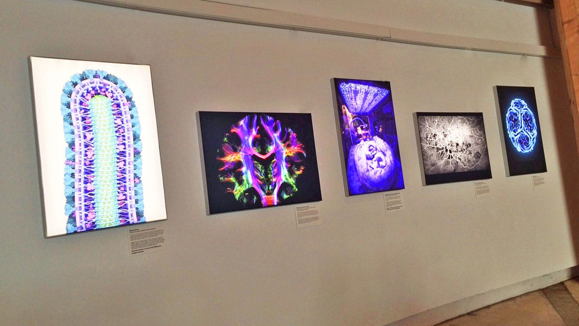 Bespoke LED light boxes for Wellcome exhibition at Eden Project