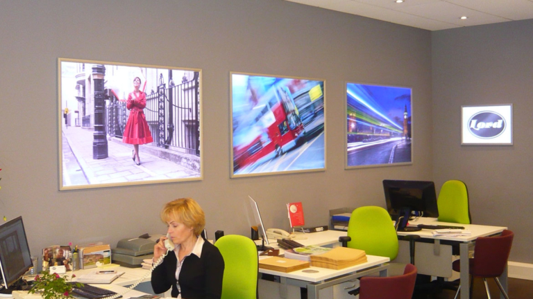 Blade LED Lightboxes in Lord Estate Agents