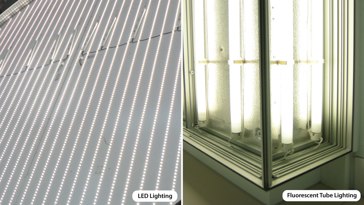 LED Lighting vs Fluorescent Tube Lighting inside light box