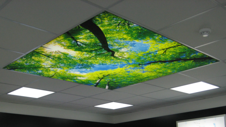 Recessed ceiling fabric light boxes in showroom