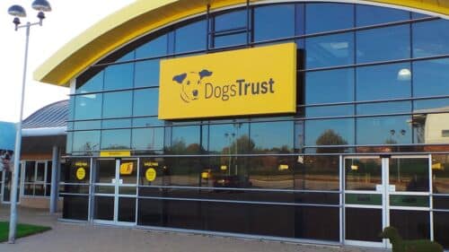 Flex Face Outdoor Sign for Dogs Trust